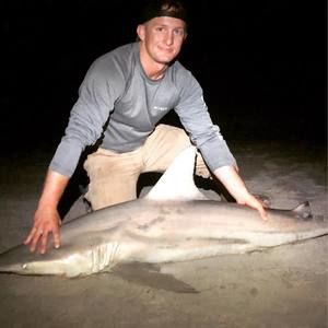 Meet your Posher, Sam